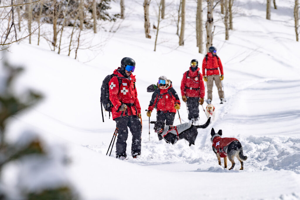 Powder Mountain - Ian Matteson